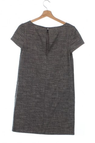 Kleid Zara, Größe XS, Farbe Mehrfarbig, Preis € 18,99