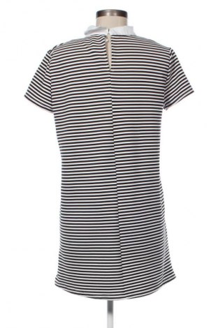 Kleid Zara, Größe S, Farbe Mehrfarbig, Preis 26,55 €