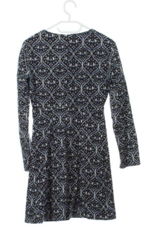 Kleid Zara Trafaluc, Größe XS, Farbe Mehrfarbig, Preis 24,27 €