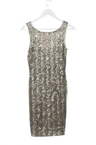 Kleid Zara Trafaluc, Größe S, Farbe Mehrfarbig, Preis € 39,02