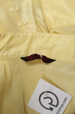 Γυναικείο πουκάμισο, Μέγεθος S, Χρώμα Κίτρινο, Τιμή 11,34 €