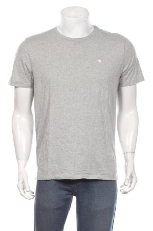 Ανδρικό t-shirt Abercrombie & Fitch, Μέγεθος L, Χρώμα Γκρί, Βαμβάκι, Τιμή 23,09 €