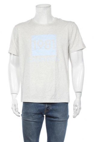 Herren T-Shirt Calvin Klein, Größe L, Farbe Grau, Preis 18,79 €