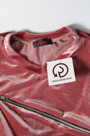 Damen Shirt, Größe M, Farbe Braun, Preis € 6,61