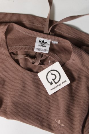 Γυναικεία μπλούζα Adidas, Μέγεθος XXL, Χρώμα Καφέ, Τιμή 17,00 €