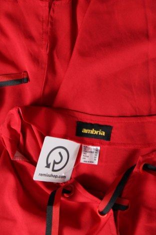 Bluză de femei Ambria, Mărime L, Culoare Roșu, Preț 62,50 Lei