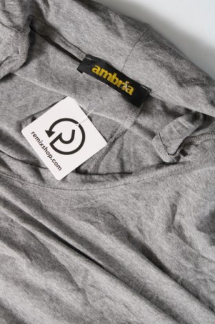 Damen Shirt Ambria, Größe XL, Farbe Grau, Preis 5,99 €