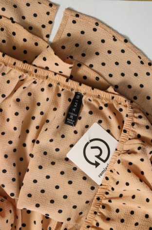 Γυναικεία μπλούζα Amisu, Μέγεθος XL, Χρώμα Πολύχρωμο, Τιμή 4,97 €
