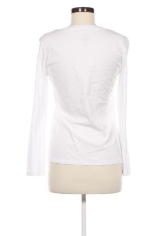 Damen Shirt Armani Exchange, Größe M, Farbe Weiß, Preis € 52,19