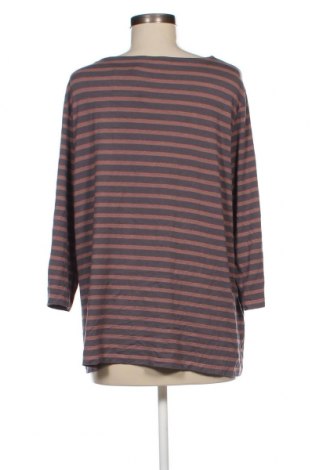 Damen Shirt Betty Barclay, Größe L, Farbe Mehrfarbig, Preis 16,70 €