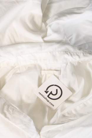 Damen Shirt COS, Größe XS, Farbe Weiß, Preis 13,26 €