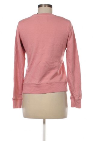 Damen Shirt Calvin Klein Jeans, Größe XS, Farbe Rosa, Preis 38,27 €