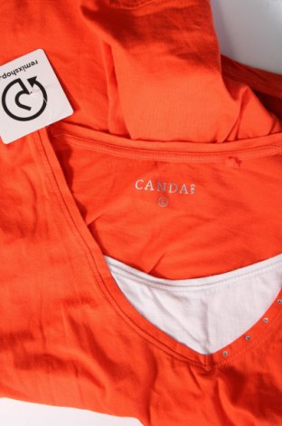 Γυναικεία μπλούζα Canda, Μέγεθος L, Χρώμα Πορτοκαλί, Τιμή 5,76 €