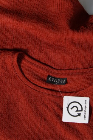Γυναικεία μπλούζα Canda, Μέγεθος M, Χρώμα Καφέ, Τιμή 3,53 €