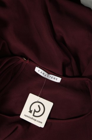 Γυναικεία μπλούζα Caractere, Μέγεθος L, Χρώμα Βιολετί, Τιμή 14,85 €