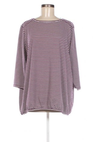 Damen Shirt Cecil, Größe XXL, Farbe Mehrfarbig, Preis 10,65 €