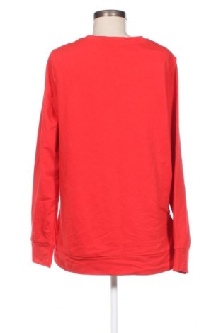 Damen Shirt Cecil, Größe L, Farbe Rot, Preis 24,11 €