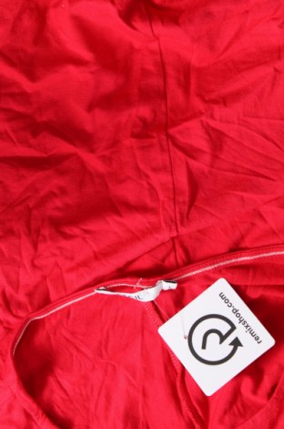 Damen Shirt Cecil, Größe L, Farbe Rot, Preis € 7,10