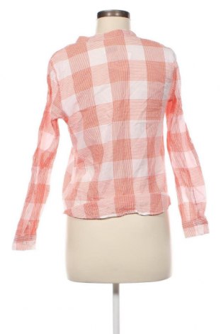 Damen Shirt Collection L, Größe S, Farbe Mehrfarbig, Preis € 3,31