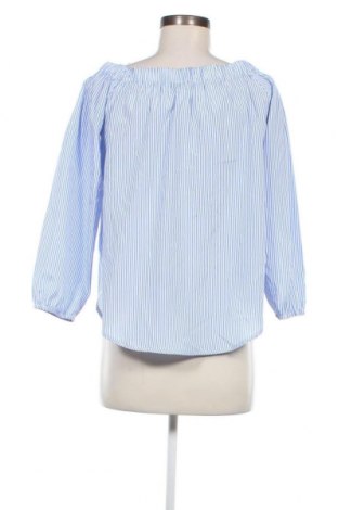 Damen Shirt Colloseum, Größe M, Farbe Mehrfarbig, Preis 5,29 €