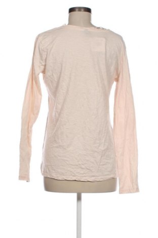 Γυναικεία μπλούζα Colours Of The World, Μέγεθος XL, Χρώμα Ρόζ , Τιμή 6,46 €