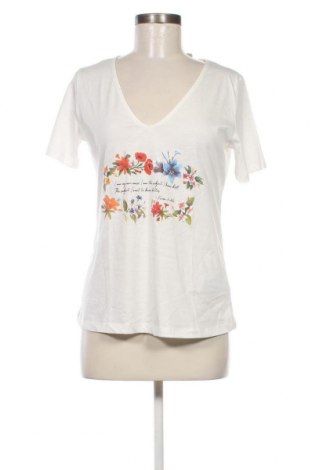 Damen Shirt Cortefiel, Größe S, Farbe Weiß, Preis 15,88 €
