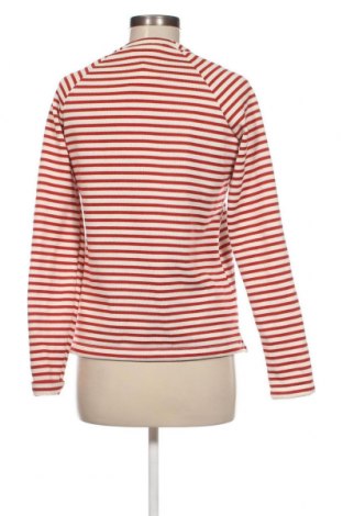 Γυναικεία μπλούζα Craghoppers, Μέγεθος S, Χρώμα Πολύχρωμο, Τιμή 14,85 €