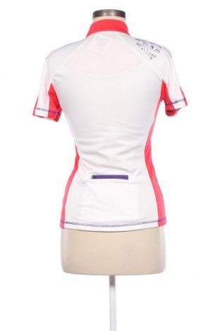 Γυναικεία μπλούζα Cygnus, Μέγεθος XS, Χρώμα Πολύχρωμο, Τιμή 4,82 €