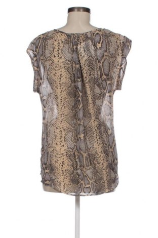Γυναικεία μπλούζα Daniel Rainn, Μέγεθος M, Χρώμα Πολύχρωμο, Τιμή 5,26 €