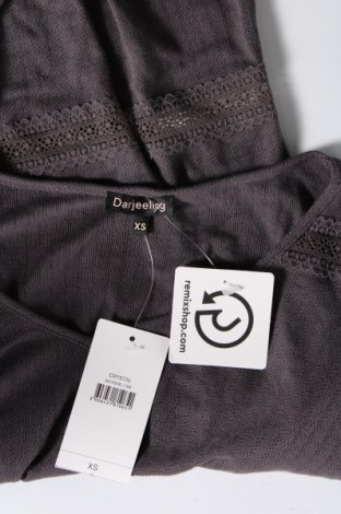 Γυναικεία μπλούζα Darjeeling, Μέγεθος XS, Χρώμα Γκρί, Τιμή 4,00 €