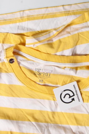 Damen Shirt Esprit, Größe XS, Farbe Mehrfarbig, Preis 5,92 €