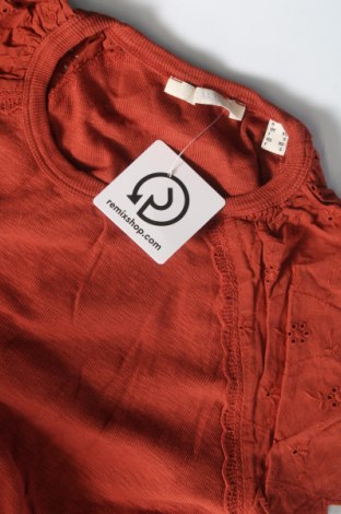 Γυναικεία μπλούζα Esprit, Μέγεθος XS, Χρώμα Καφέ, Τιμή 6,31 €