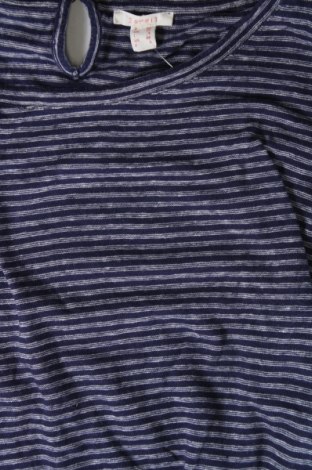 Damen Shirt Esprit, Größe XS, Farbe Blau, Preis 10,20 €