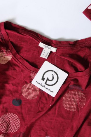 Damen Shirt Esprit, Größe XL, Farbe Rot, Preis € 13,01