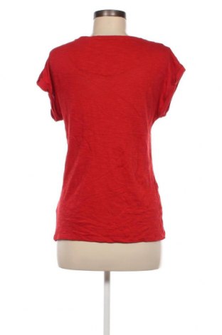 Damen Shirt Esprit, Größe S, Farbe Rot, Preis € 8,28