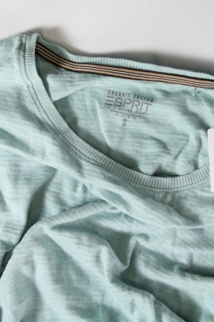 Damen Shirt Esprit, Größe S, Farbe Grün, Preis 7,10 €