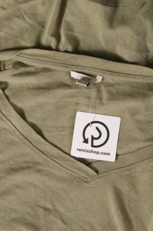 Damen Shirt Esprit, Größe M, Farbe Grün, Preis 11,83 €