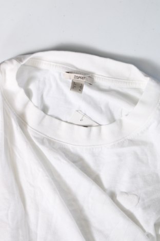 Damen Shirt Esprit, Größe L, Farbe Weiß, Preis € 11,83