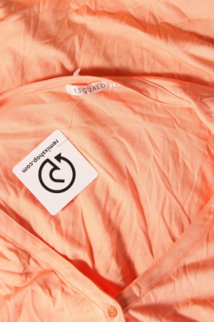 Γυναικεία μπλούζα Esqualo, Μέγεθος XXL, Χρώμα Πορτοκαλί, Τιμή 10,30 €