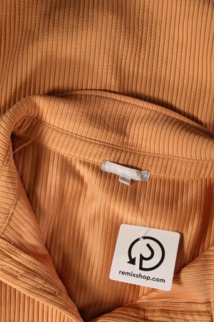 Γυναικεία μπλούζα Fisherfield, Μέγεθος L, Χρώμα Πορτοκαλί, Τιμή 9,72 €