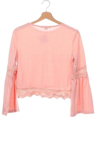 Γυναικεία μπλούζα Gate Woman, Μέγεθος XS, Χρώμα Ρόζ , Τιμή 5,55 €