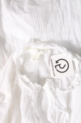 Γυναικεία μπλούζα H&M, Μέγεθος S, Χρώμα Λευκό, Τιμή 5,54 €