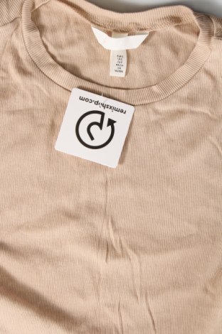 Γυναικεία μπλούζα H&M, Μέγεθος S, Χρώμα  Μπέζ, Τιμή 8,11 €