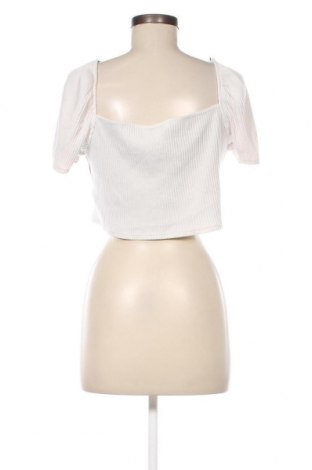 Damen Shirt H&M, Größe XL, Farbe Beige, Preis 3,99 €