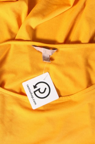 Γυναικεία μπλούζα H&M, Μέγεθος XXL, Χρώμα Κίτρινο, Τιμή 5,88 €
