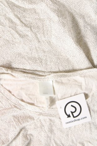 Damen Shirt H&M, Größe S, Farbe Beige, Preis € 3,17
