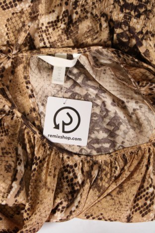 Γυναικεία μπλούζα H&M, Μέγεθος XL, Χρώμα  Μπέζ, Τιμή 11,75 €