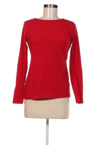 Γυναικεία μπλούζα Hallhuber, Μέγεθος M, Χρώμα Κόκκινο, Τιμή 17,00 €
