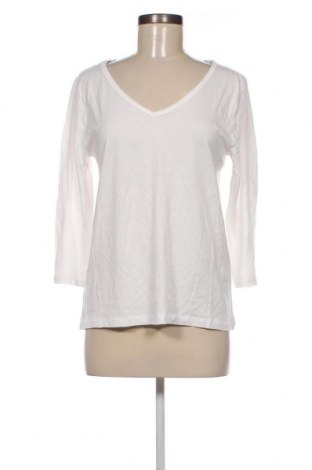 Damen Shirt Iris & Lilly, Größe S, Farbe Weiß, Preis € 7,55