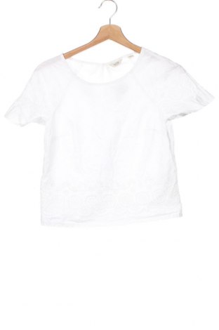 Damen Shirt Jack Wills, Größe S, Farbe Weiß, Preis € 10,42